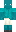skin of a player