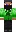 skin of a player