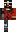 skin of a player
