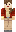 skin of a player