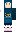 skin of a player