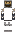 skin of a player
