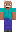 skin of a player
