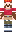 skin of a player