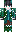 skin of a player