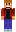 skin of a player