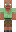 skin of a player