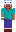 skin of a player