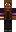 skin of a player