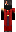 skin of a player