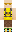 skin of a player