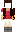 skin of a player