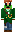 skin of a player