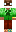 skin of a player
