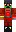 skin of a player