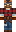 skin of a player