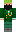 skin of a player