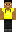 skin of a player