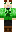 skin of a player