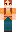 skin of a player
