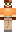 skin of a player