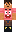 skin of a player