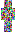 skin of a player
