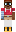 skin of a player