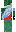 skin of a player