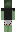 skin of a player