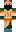 skin of a player