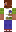 skin of a player
