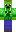 skin of a player
