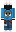 skin of a player