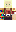 skin of a player