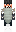 skin of a player