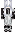 skin of a player