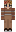skin of a player