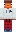 skin of a player