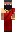 skin of a player