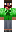 skin of a player