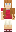 skin of a player
