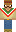 skin of a player