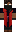 skin of a player