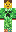 skin of a player