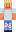 skin of a player