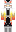 skin of a player