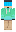 skin of a player