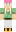 skin of a player