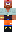 skin of a player